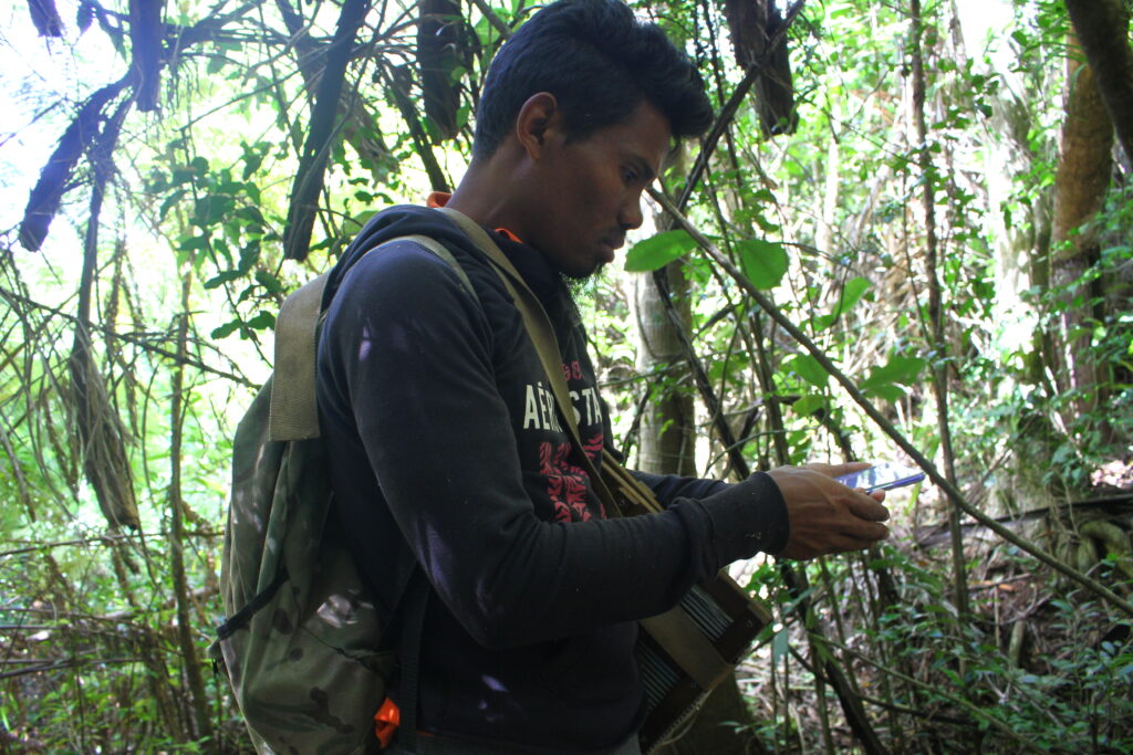 Collecte de donnée sur terrain pour le suivi de Diospyros ketsensis avec l'application Google Appsheet