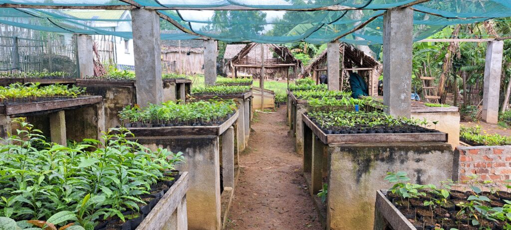 Extension of nursery at Analalava