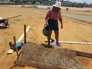 Citizen contribution to the Ministry of Environment and Sustainable Development’s initiative3