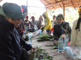 Green Class – Teach students how to do a good herbarium specimen