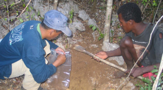 Take soil sample for analysis